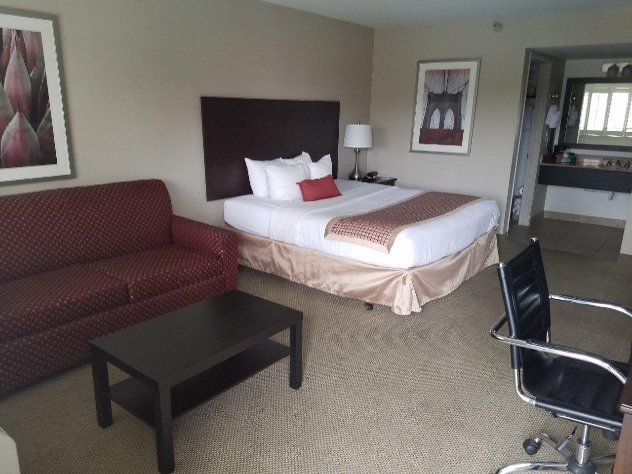 טמפה Infinity Inn & Suites מראה חיצוני תמונה