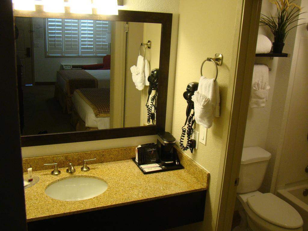 טמפה Infinity Inn & Suites מראה חיצוני תמונה