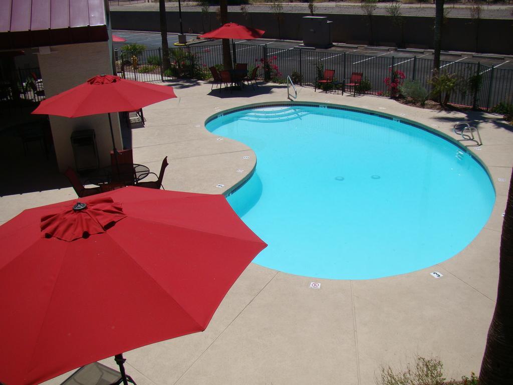 טמפה Infinity Inn & Suites מראה חיצוני תמונה